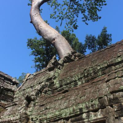 Ankor Wats Temples 021