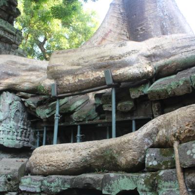 Ankor Wats Temples 022