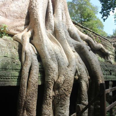 Ankor Wats Temples 023