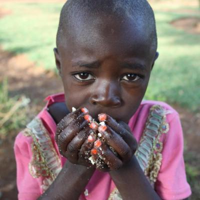 Kenya 2012 7050616975 O