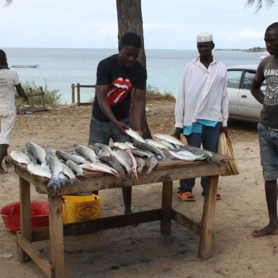 Mozambique Faces And Places 012