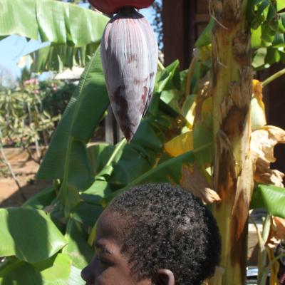 Mozambique Faces And Places 044