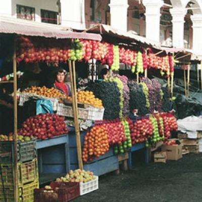 Ecuador Northern 003