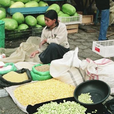 Ecuador Northern 004