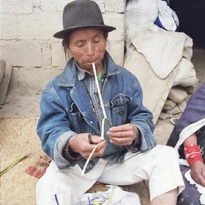 Ecuador Northern 011