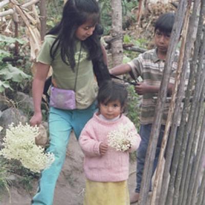 Ecuador Northern 015