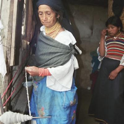 Ecuador Northern 019