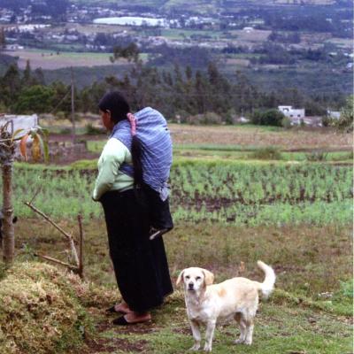 Ecuador Northern 020