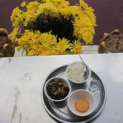 Cambodia Krkf 005