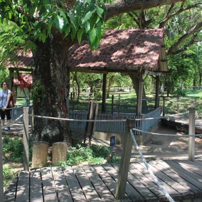 Cambodia Krkf 023
