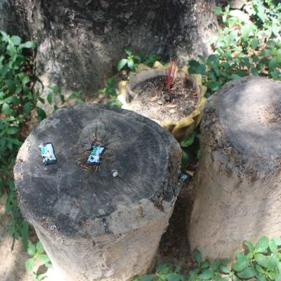 Cambodia Krkf 024