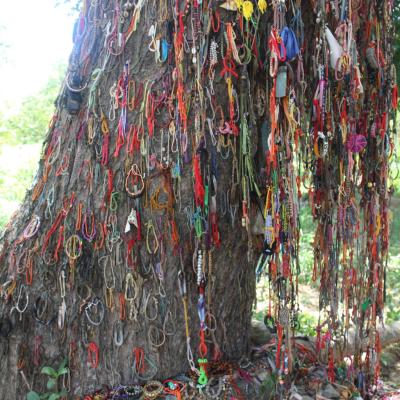 Cambodia Krkf 027