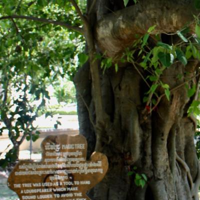 Cambodia Krkf 030