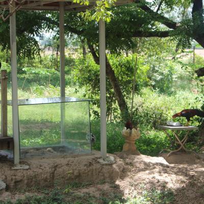 Cambodia Krkf 031
