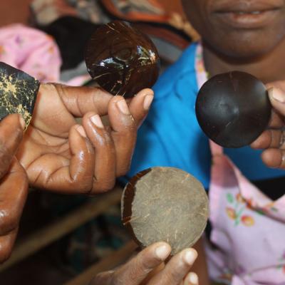 Mozambique Iris Arts 017