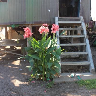 Cheur Vill Homes Business C 21 Large