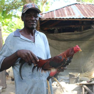 R Haiti The Compound Faces And Places 40 35235321933 O