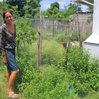 R Haiti Clean Water Pump And Sustainable Garden On Pr Compound 17 35858957142 O