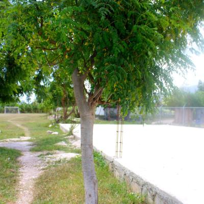 R Haiti Clean Water Pump And Sustainable Garden On Pr Compound 18 36030217575 O