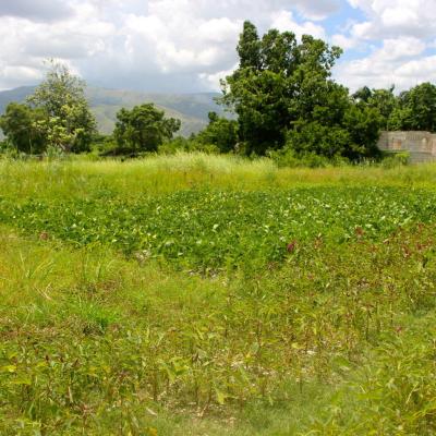 R Haiti Clean Water Pump And Sustainable Garden On Pr Compound 19 35858955882 O