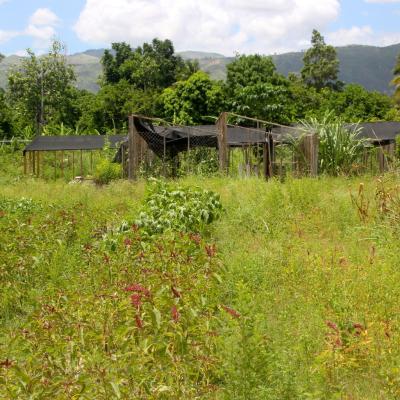 R Haiti Clean Water Pump And Sustainable Garden On Pr Compound 20 35640705140 O