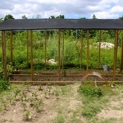 R Haiti Clean Water Pump And Sustainable Garden On Pr Compound 23 36030206205 O