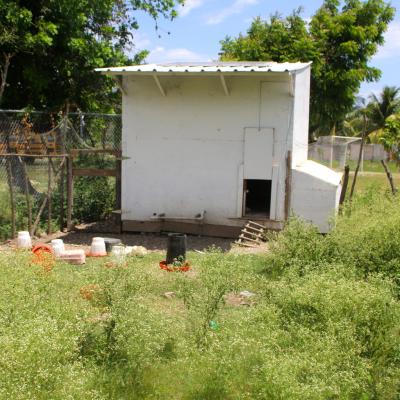 R Haiti Clean Water Pump And Sustainable Garden On Pr Compound 26 35896294961 O
