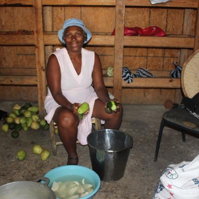 R Haiti Clean Water Pump And Sustainable Garden On Pr Compound 28 35896293921 O
