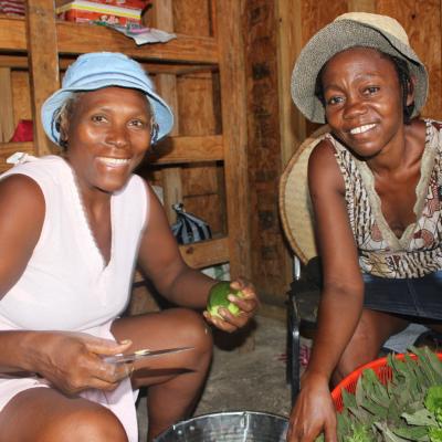 R Haiti Clean Water Pump And Sustainable Garden On Pr Compound 29 35640698960 O