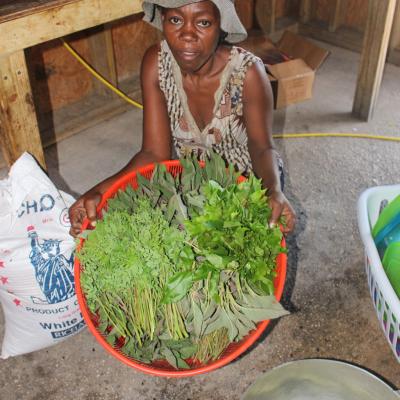 R Haiti Clean Water Pump And Sustainable Garden On Pr Compound 30 35219795783 O