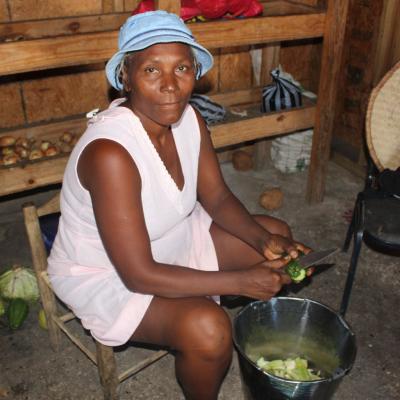 R Haiti Clean Water Pump And Sustainable Garden On Pr Compound 33 36030189655 O