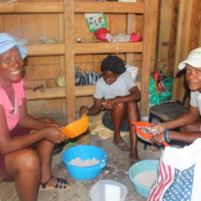 R Haiti Clean Water Pump And Sustainable Garden On Pr Compound 34 35640696420 O