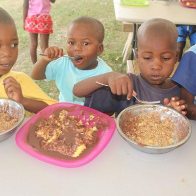 R Haiti Clean Water Pump And Sustainable Garden On Pr Compound 39 36030183735 O