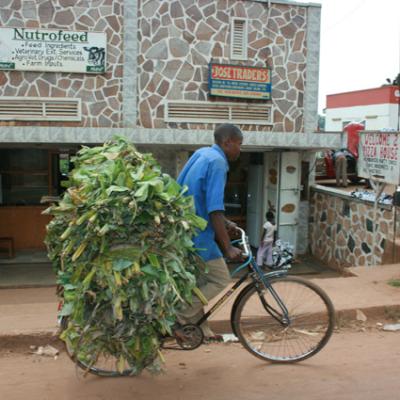Uganda Kampala 036