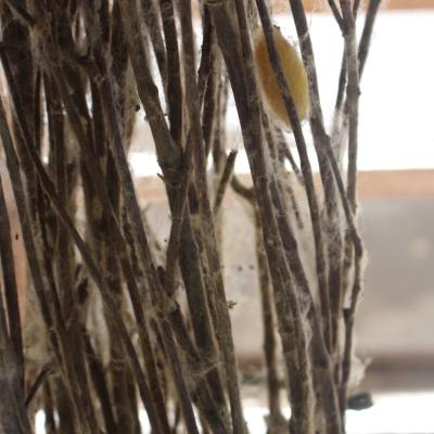 Cheur Vill Artists.jpg 020