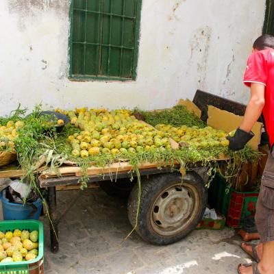 Morocco Medina Of Tetouan 014