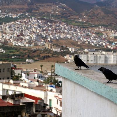 Morocco Tetouan Faces Places 060